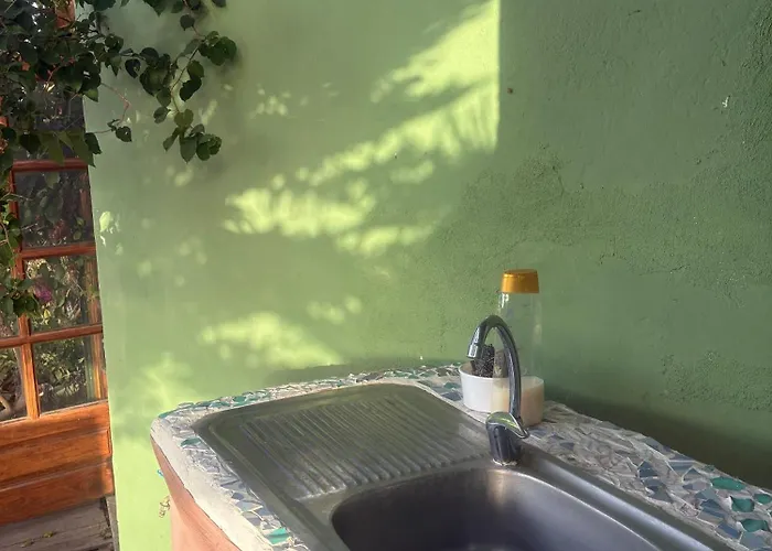 The Good Vibes * Hoya de Pineda